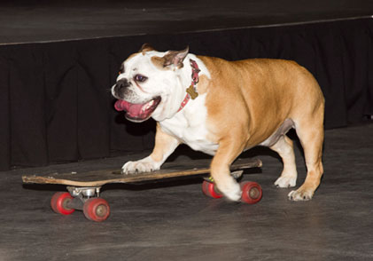 Buttercup Skateboarding!