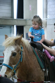 Thistle Hill Pony Ride