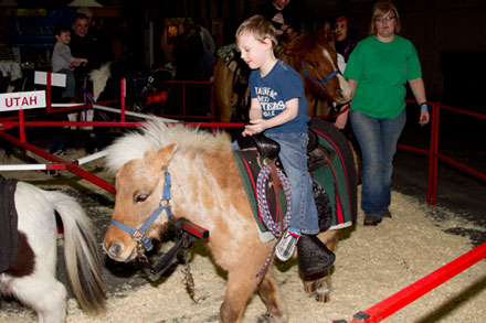 Thistle Hill Pony Ride